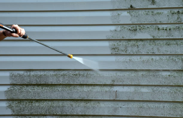 Best Affordable Power Washing  in Memphis, MI