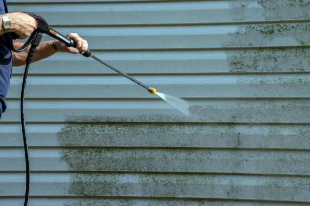 Best Sidewalk Pressure Washing  in Memphis, MI