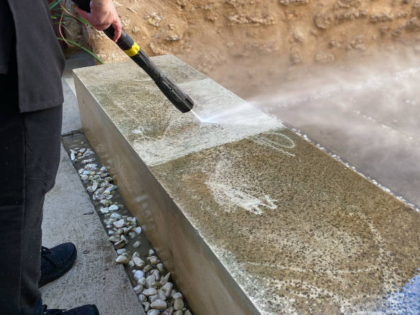 Best Best Pressure Washing Companies  in Memphis, MI