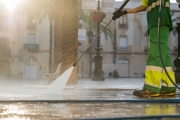 Best Deck Cleaning Services  in Memphis, MI